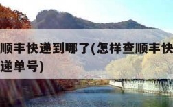 怎样查顺丰快递到哪了(怎样查顺丰快递到哪了有快递单号)