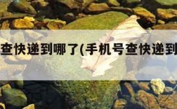 手机号查快递到哪了(手机号查快递到哪了怎么查)