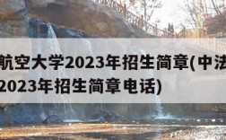 中法航空大学2023年招生简章(中法航空大学2023年招生简章电话)
