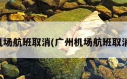 广州机场航班取消(广州机场航班取消查询)