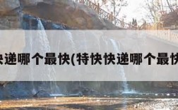 快递哪个最快(特快快递哪个最快)