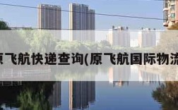原飞航快递查询(原飞航国际物流)