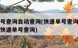 快递单号查询自动查询(快递单号查询自动查询邮政快递单号查询)