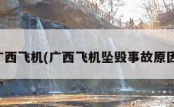 广西飞机(广西飞机坠毁事故原因)