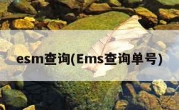 esm查询(Ems查询单号)