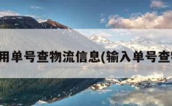 怎么用单号查物流信息(输入单号查物流)
