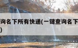 一键查询名下所有快递(一键查询名下所有快递单号)