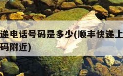 顺丰快递电话号码是多少(顺丰快递上门取件电话号码附近)