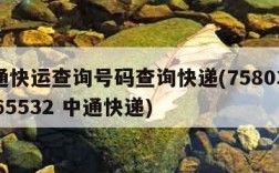 中通快运查询号码查询快递(75803955265532 中通快递)
