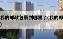 查一下我的邮政包裹到哪里了(我的邮政快递怎么查)