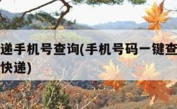 中通快递手机号查询(手机号码一键查询快递单号查快递)