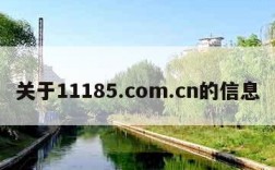 关于11185.com.cn的信息