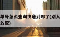 有快递单号怎么查询快递到哪了(别人给我订单号怎么查)