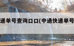 中通快递单号查询口口(中通快递单号号码查询)