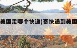 邮寄到美国走哪个快递(寄快递到美国寄什么快递)