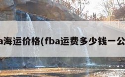 fba海运价格(fba运费多少钱一公斤)