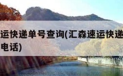 汇森速运快递单号查询(汇森速运快递单号查询投诉电话)