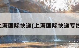 上海国际快递(上海国际快递专线)