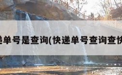快递单号是查询(快递单号查询查快递)