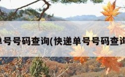 快递单号号码查询(快递单号号码查询韵达)