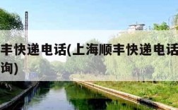上海顺丰快递电话(上海顺丰快递电话号码多少号查询)