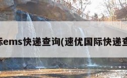 国际ems快递查询(速优国际快递查询)