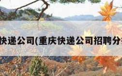 重庆快递公司(重庆快递公司招聘分拣员)