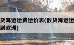 国际散货海运运费运价表(散货海运运费运价表中国到欧洲)