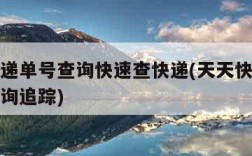 天天快递单号查询快速查快递(天天快递快递单号查询追踪)