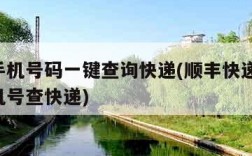 顺丰手机号码一键查询快递(顺丰快递 收件人手机号查快递)