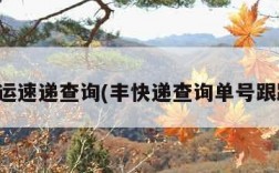 丰运速递查询(丰快递查询单号跟踪)