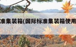 国际标准集装箱(国际标准集装箱使用年限规定)