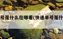 快递单号是什么在哪看(快递单号是什么在哪里看)