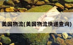 美国物流(美国物流快递查询)