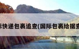 国际快递包裹追查(国际包裹给据查洵)