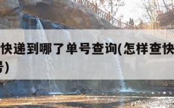 如何查快递到哪了单号查询(怎样查快递到哪了 单号)