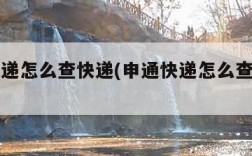 申通快递怎么查快递(申通快递怎么查快递号)