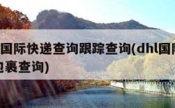 dhl国际快递查询跟踪查询(dhl国际快递包裹查询)