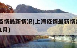 上海疫情最新情况(上海疫情最新情况2023年11月)
