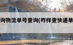 快递查询物流单号查询(咋样查快递单号查询物流)