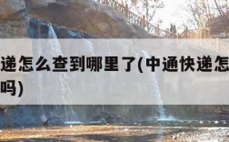 中通快递怎么查到哪里了(中通快递怎样查快递到了吗)