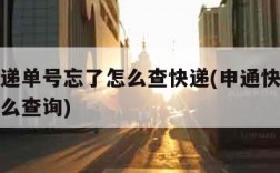 申通快递单号忘了怎么查快递(申通快递单号忘了怎么查询)