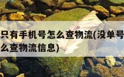 没单号只有手机号怎么查物流(没单号只有手机号怎么查物流信息)