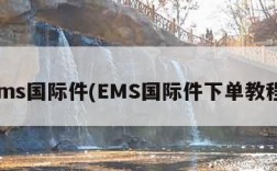 ems国际件(EMS国际件下单教程)