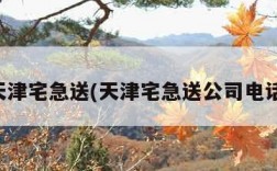 天津宅急送(天津宅急送公司电话)