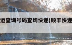 顺丰快运查询号码查询快递(顺丰快递查单号)