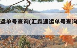 汇森速运单号查询(汇森速运单号查询爱查快递)