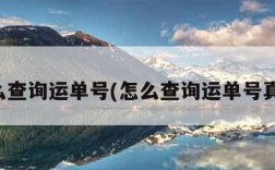怎么查询运单号(怎么查询运单号真假)