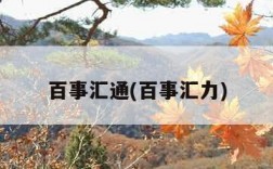 百事汇通(百事汇力)
