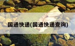 国通快递(国通快递查询)